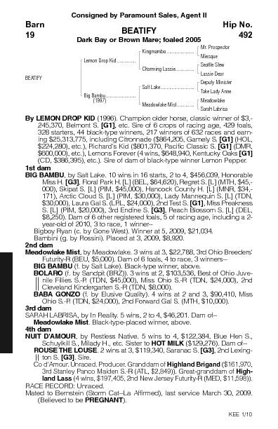 Consigned by Paramount Sales,Agent IIBEATIFYDark Bay or Brown Mare;foa