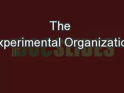 The Experimental Organization