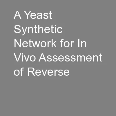 A Yeast Synthetic Network for In Vivo Assessment of Reverse