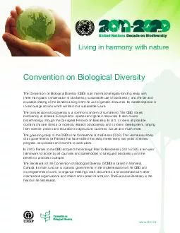 Convention on Biological Diversity The Convention on Biological Diversity CBD is an international
