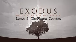Lesson 5 - The Plagues Continue