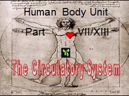 Human Body Unit
