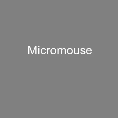 Micromouse