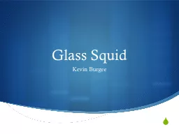 Glass Squid