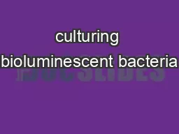 culturing bioluminescent bacteria