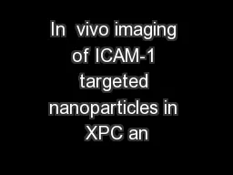 In  vivo imaging of ICAM-1 targeted nanoparticles in XPC an