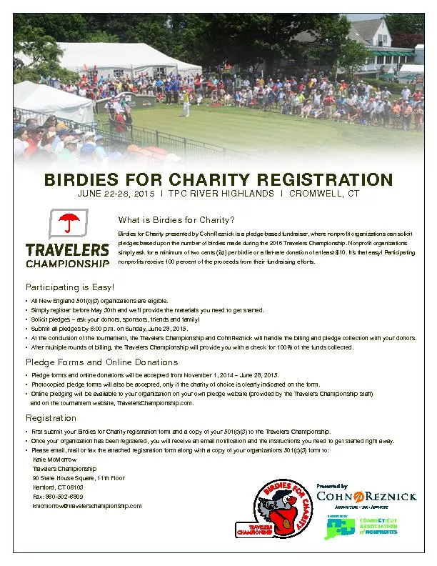 What is Birdies for Charity?