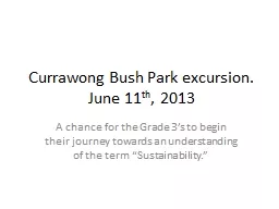 Currawong Bush Park excursion.