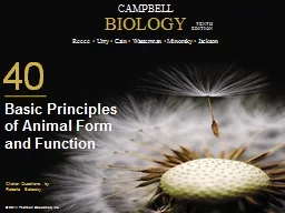 0 Basic Principles of Animal Form and Function