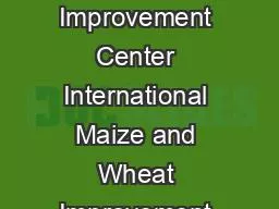 International Maize and Wheat Improvement Center International Maize and Wheat Improvement