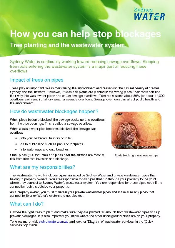How you can help stop blockages Tree planting and the wastewater syste