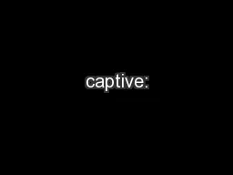 captive: