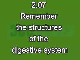 2.07 Remember the structures of the digestive system