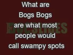What are Bogs Bogs are what most people would call swampy spots