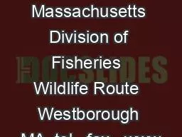 Massachusetts Division of Fisheries  Wildlife Route  Westborough MA  tel   fax   www