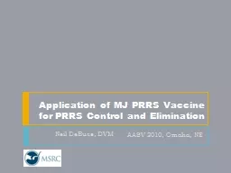 Application of MJ PRRS Vaccine