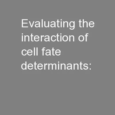 Evaluating the interaction of cell fate determinants: