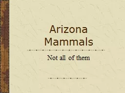 Arizona Mammals