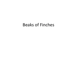 Beaks of Finches