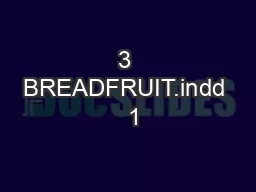 3 BREADFRUIT.indd   1