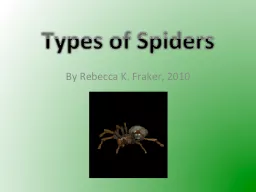Types of Spiders