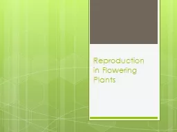 Reproduction in Flowering Plants