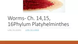 Worms- Ch. 14,15, 16Phylum Platyhelminthes