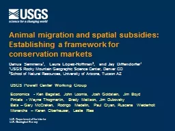 Animal migration and spatial subsidies: