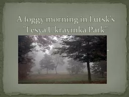 A foggy morning in Lutsk's 