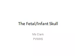 The Fetal/Infant Skull