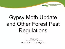 Gypsy Moth Update
