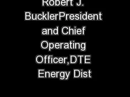 Robert J. BucklerPresident and Chief Operating Officer,DTE Energy Dist