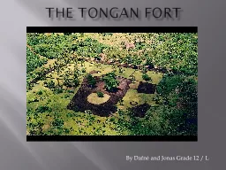 The tongan fort