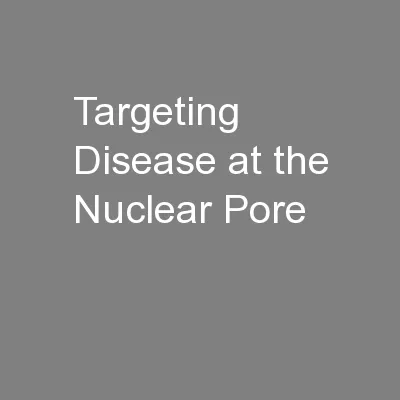 Targeting Disease at the Nuclear Pore