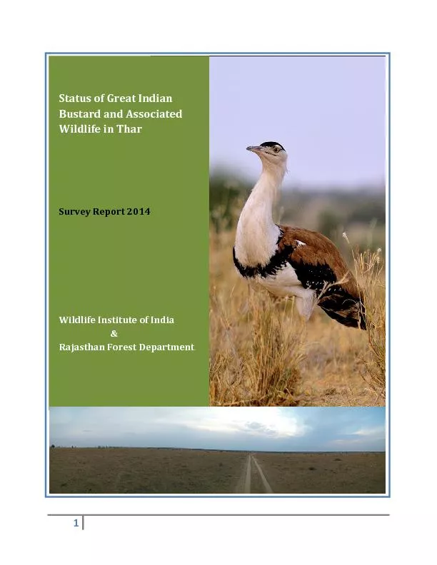 Status of Great Indian Bustard and ssociated ildlife in TharSurvey Rep
