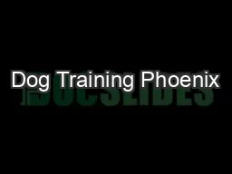 Dog Training Phoenix