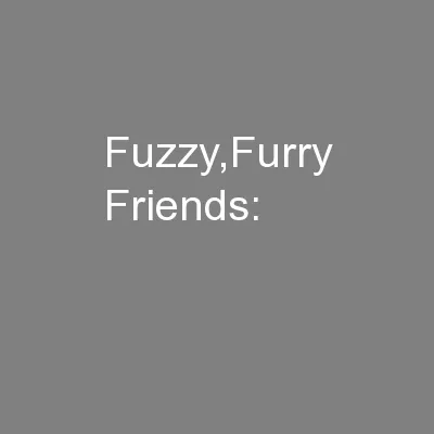 Fuzzy,Furry Friends: