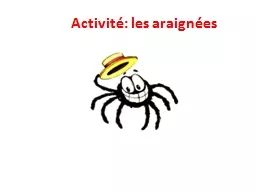 Activité: les araignées