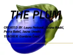 The plum