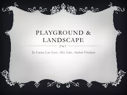 Playground & Landscape