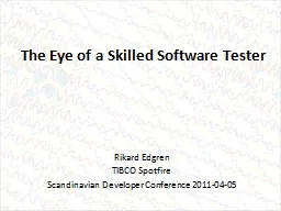 The Eye of a Skilled Software Tester