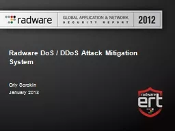 Radware DoS / DDoS Attack Mitigation System