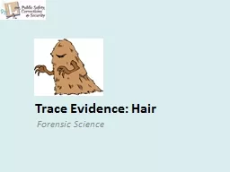 Trace Evidence: Hair
