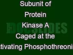 Catalytic Subunit of Protein Kinase A Caged at the Activating Phosphothreonine