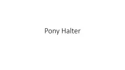 Pony Halter