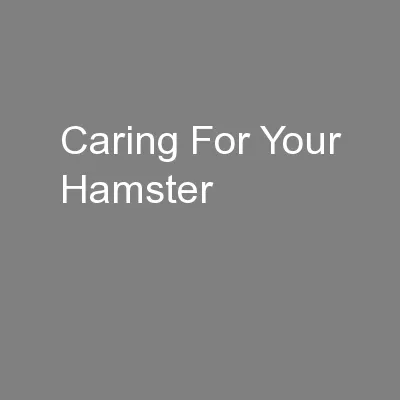 Caring For Your Hamster