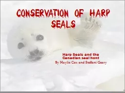 Conservation of Harp Seals