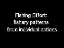 Fishing Effort: fishery patterns from individual actions