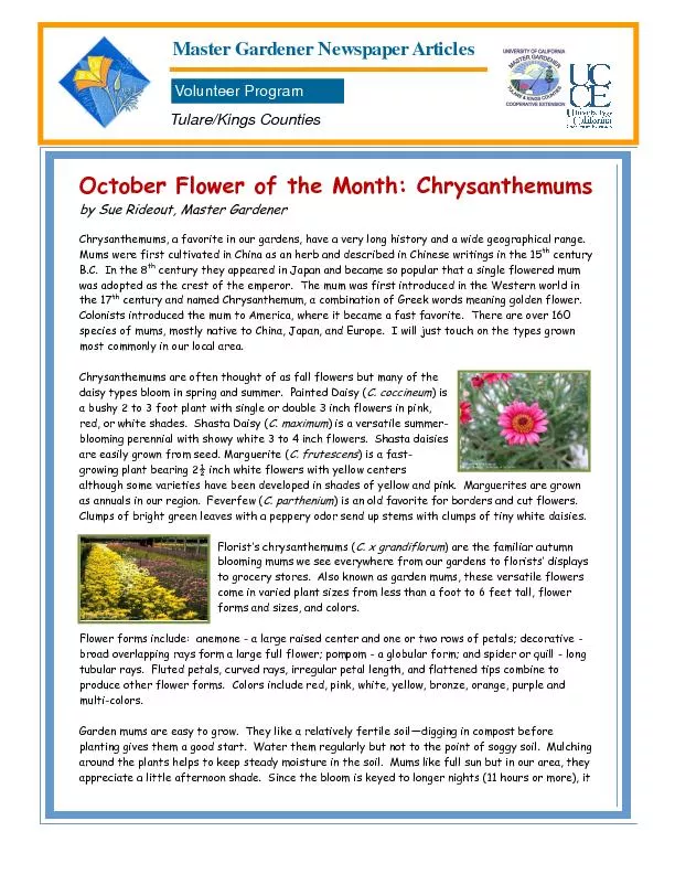 October Flower of the Month:
