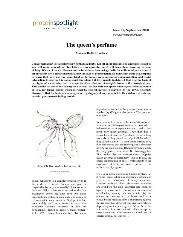 Issue 97, September 2008www.proteinspotlight.orgThe queen